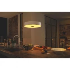 Philips Hue Connected Fair Pendel Hvid -Homeshop Salgsbutik unnamed file 1049