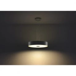 Philips Hue Connected Fair Pendel Sort -Homeshop Salgsbutik unnamed file 1062