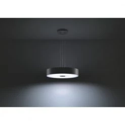 Philips Hue Connected Fair Pendel Sort -Homeshop Salgsbutik unnamed file 1063
