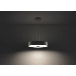 Philips Hue Connected Fair Pendel Sort -Homeshop Salgsbutik unnamed file 1064
