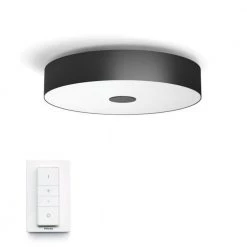 Philips Hue Connected Fair Plafond Sort
