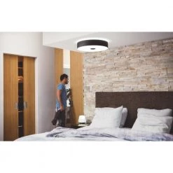 Philips Hue Connected Fair Plafond Sort -Homeshop Salgsbutik unnamed file 1108