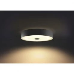 Philips Hue Connected Fair Plafond Sort -Homeshop Salgsbutik unnamed file 1109