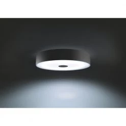 Philips Hue Connected Fair Plafond Sort -Homeshop Salgsbutik unnamed file 1110