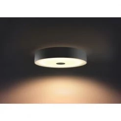 Philips Hue Connected Fair Plafond Sort -Homeshop Salgsbutik unnamed file 1112