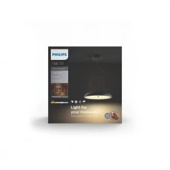 Philips Hue Connected Amaze Pendel Sort -Homeshop Salgsbutik unnamed file 1168