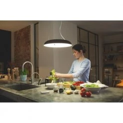 Philips Hue Connected Amaze Pendel Sort -Homeshop Salgsbutik unnamed file 1172