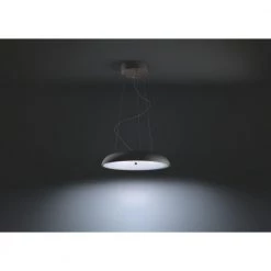 Philips Hue Connected Amaze Pendel Sort -Homeshop Salgsbutik unnamed file 1173