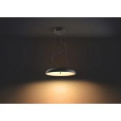 Philips Hue Connected Amaze Pendel Sort -Homeshop Salgsbutik unnamed file 1174