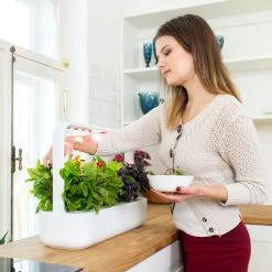 Click&Grow Click And Grow Smart Garden 9 Starter Kit Dark Gray 8 Click&Grow Click And Grow Smart Garden 9 Starter Kit Dark Gray -Homeshop Salgsbutik unnamed file 1302