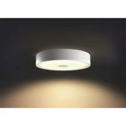 Philips Hue Connected Fair Plafond Hvid -Homeshop Salgsbutik unnamed file 498