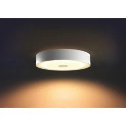 Philips Hue Connected Fair Plafond Hvid -Homeshop Salgsbutik unnamed file 501