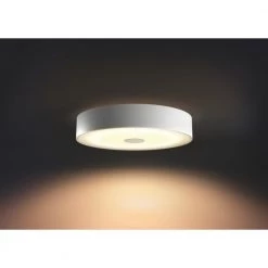 Philips Hue Connected Fair Plafond Hvid -Homeshop Salgsbutik unnamed file 502