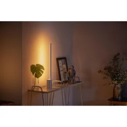 Philips Hue Signe Hue Bord Lampe Aluminium 1x14W 24V - VAREN ER UDGÅET 11 Philips Hue Signe Hue Bord Lampe Aluminium 1x14W 24V - VAREN ER UDGÅET -Homeshop Salgsbutik unnamed file 963