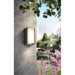 Philips Hue Turaco Væglampe Anthracite 1x9.5W 35 Philips Hue Turaco Væglampe Anthracite 1x9.5W -Homeshop Salgsbutik unnamed file 1012