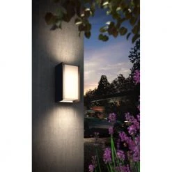 Philips Hue Turaco Væglampe Anthracite 1x9.5W 36 Philips Hue Turaco Væglampe Anthracite 1x9.5W -Homeshop Salgsbutik unnamed file 1013