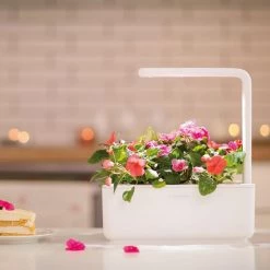 Click&Grow Click And Grow Smart Garden 3 Start Kit Dark Gray -Homeshop Salgsbutik unnamed file 1045