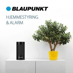 Blaupunkt Tænd- Og Slukmodul -Homeshop Salgsbutik unnamed file 1067