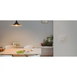 Niko Intense Hue Kontakt Dim Switch Til Philips Hue - Hvid -Homeshop Salgsbutik unnamed file 1249