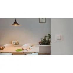 Niko Intense Hue Kontakt Dim Switch Til Philips Hue - Hvid -Homeshop Salgsbutik unnamed file 1250