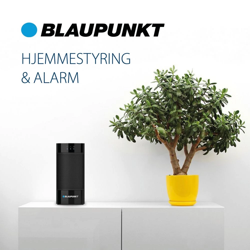 Blaupunkt Bevægelsessensor (Dyreimmun) 4 Blaupunkt Bevægelsessensor (Dyreimmun) - Billede 2