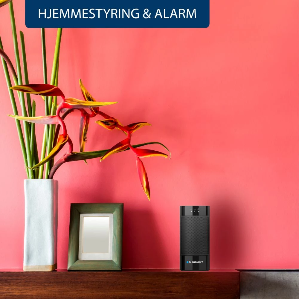 Blaupunkt Bevægelsessensor (Dyreimmun) 5 Blaupunkt Bevægelsessensor (Dyreimmun) - Billede 3