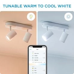 WiZ Imageo Spots 2x5W W 27-65K TW - Tunable White -Homeshop Salgsbutik unnamed file 1643