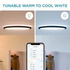 WiZ SuperSlim Loftlampe 14W B RD 27-65K TW - Tunable White -Homeshop Salgsbutik unnamed file 2062