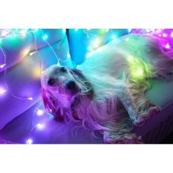 Twinkly String Smart Lyskæde 56 LED - 8 Meter GEN I -Homeshop Salgsbutik unnamed file 2142