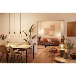 Philips Smart LED Tunable White - Filament PS160 E27, Ravfarvet 31 Philips Smart LED Tunable White - Filament PS160 E27, Ravfarvet -Homeshop Salgsbutik unnamed file 2244