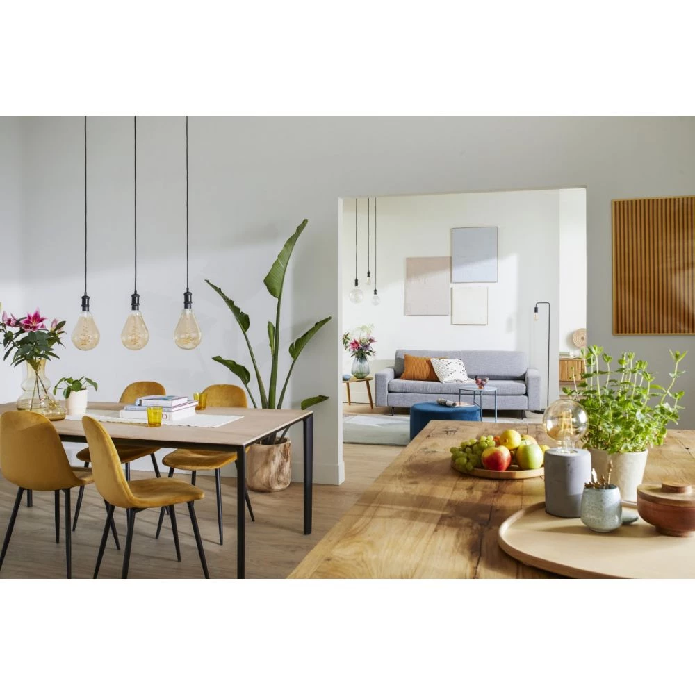 Philips Smart LED Tunable White - Filament PS160 E27, Ravfarvet 13 Philips Smart LED Tunable White - Filament PS160 E27, Ravfarvet - Billede 11