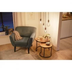 Philips Smart LED Tunable White - Filament Globe G95 E27, Ravfarvet 29 Philips Smart LED Tunable White - Filament Globe G95 E27, Ravfarvet -Homeshop Salgsbutik unnamed file 2669