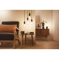 Philips Smart LED Tunable White - Filament Globe G125 E27, Klar 29 Philips Smart LED Tunable White - Filament Globe G125 E27, Klar -Homeshop Salgsbutik unnamed file 2686