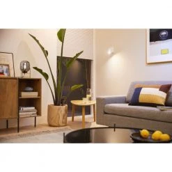 Philips Smart LED Color - Spot GU10 -Homeshop Salgsbutik unnamed file 2706