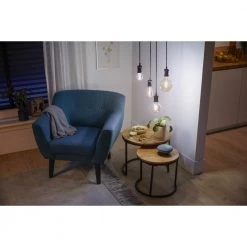 Philips Smart LED Tunable White - Filament Edison ST64 E27, Ravfarvet 27 Philips Smart LED Tunable White - Filament Edison ST64 E27, Ravfarvet -Homeshop Salgsbutik unnamed file 2767