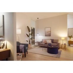 Philips Smart LED Tunable White - Globe G95 E27 -Homeshop Salgsbutik unnamed file 2836