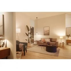 Philips Smart LED Tunable White - Globe G95 E27 -Homeshop Salgsbutik unnamed file 2837