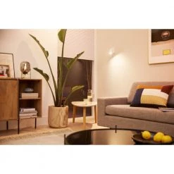 Philips Smart LED Tunable White - Spot GU10 26 Philips Smart LED Tunable White - Spot GU10 -Homeshop Salgsbutik unnamed file 2867