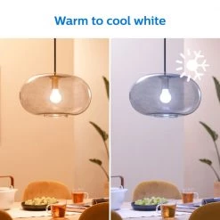 Philips Smart LED Tunable White - Standard E27 Pære, Matteret Glas -Homeshop Salgsbutik unnamed file 2909