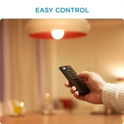 WiZ Remote Control Med Batterier -Homeshop Salgsbutik unnamed file 3053