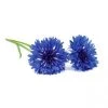 Click&Grow Click And Grow Smart Garden Refill 3-pack - Flowers Plant: Cornflower -Homeshop Salgsbutik unnamed file 3065