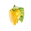 Click&Grow Click And Grow Smart Garden Refill 3 Stk. Planter: Gule Søde Peberfrugter 2 Click&Grow Click And Grow Smart Garden Refill 3 Stk. Planter: Gule Søde Peberfrugter -Homeshop Salgsbutik unnamed file 3080