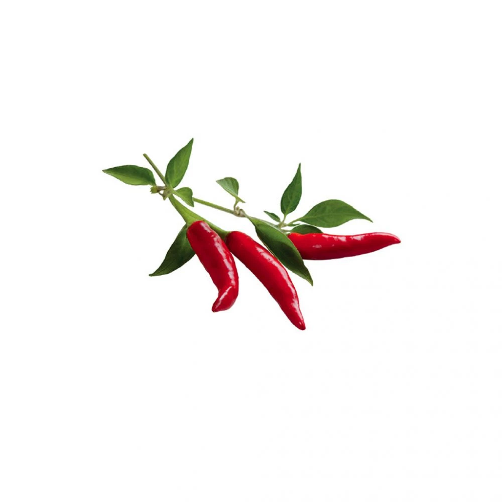 Click&Grow Click And Grow Smart Garden Refill 3 Stk. Planter: Chili Pepper 3 Click&Grow Click And Grow Smart Garden Refill 3 Stk. Planter: Chili Pepper