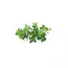 Click&Grow Click And Grow Smart Garden Refill 3 Stk. Planter: Timian 2 Click&Grow Click And Grow Smart Garden Refill 3 Stk. Planter: Timian -Homeshop Salgsbutik unnamed file 3087