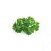 Click&Grow Click And Grow Smart Garden Refill 3 Stk. Planter: Persille 1 Click&Grow Click And Grow Smart Garden Refill 3 Stk. Planter: Persille -Homeshop Salgsbutik unnamed file 3089