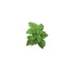 Click&Grow Click And Grow Smart Garden Refill 3 Stk. Planter: Dværg Basilikum -Homeshop Salgsbutik unnamed file 3092