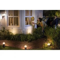 Philips Hue Calla Udendørs Bedlampe Udvidelsespakke 82 Philips Hue Calla Udendørs Bedlampe Udvidelsespakke -Homeshop Salgsbutik unnamed file 540