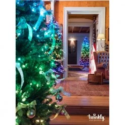 Twinkly String Smart Lyskæde 250 LED GEN II -Homeshop Salgsbutik unnamed file 596