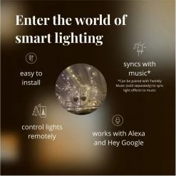 Twinkly String Smart Lyskæde 250 LED GEN II -Homeshop Salgsbutik unnamed file 640