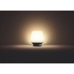 Philips Hue Connected Wellness Bordlampe 24 Philips Hue Connected Wellness Bordlampe -Homeshop Salgsbutik unnamed file 825